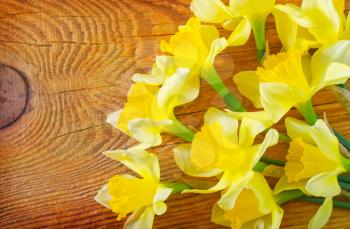 yellow flowers