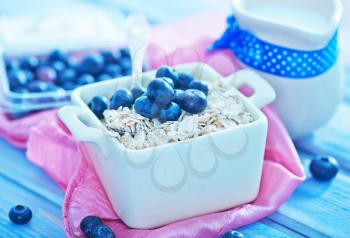 oat flakes with blueberry in the bowl