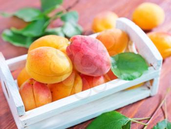 apricots