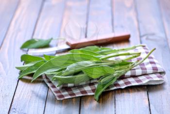 fresh sage on napkin and on a table