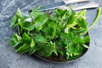 fresh celery on plate and on a table