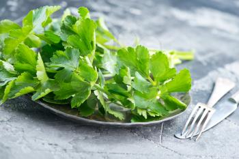 fresh celery on plate and on a table