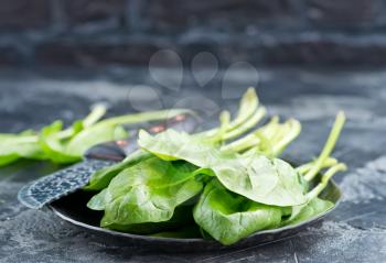 fresh spinach on plate and on a table