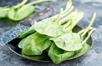 fresh spinach on plate and on a table