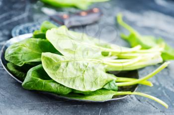 fresh spinach on plate and on a table