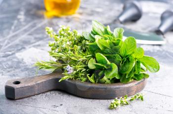 fresh herb on board and on a table