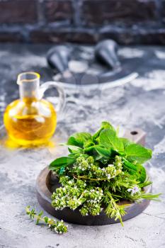 fresh herb on board and on a table