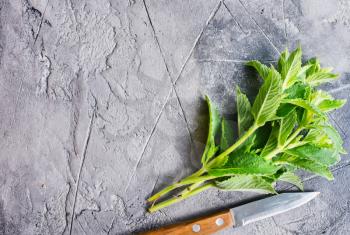 fresh mint on a table, stock photo