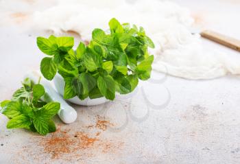 fresh mint leaf in white bowl and on a table