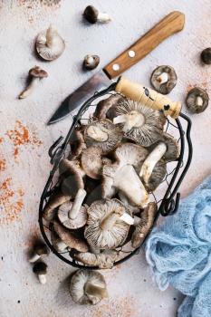 autumn mushrooms, raw mushrooms on a table, stock photo