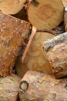 Timber industry and wood logging creative concept: heap of sawn pine wood logs with rough pine bark close-up view, industrial background