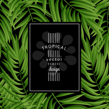 Tropical Palm leaves. Tropic palm. Tropical Palm leaf. Green tropic palm. Green palm summer tropical leaves. Tropic leaves frame. Green summer tropic palm leaves. Square frame.