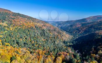 Aerial view of the Vosges Mountains in autumn. Alsace, France