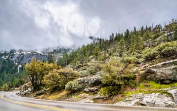 Wawona Road in Yosemite National Park - California, United States