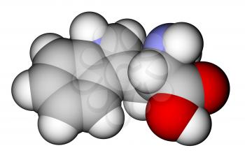 Essential amino acid tryptophan 3D molecular structure