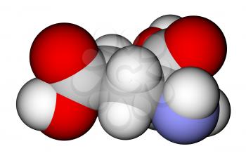 Amino acid glutamic acid molecular model