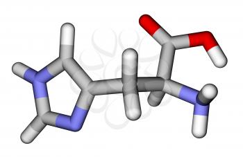 Essential amino acid histidine 3D molecular model