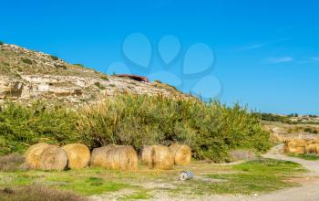 Haystacks at the foot of the Kourion Mount - Cyprus