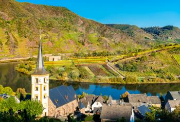 Saint Lawrence Church at the Bow of the Moselle river - Bremm town, Rhineland-Palatinate, Germany
