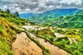 Rice Terraces of Banaue - UNESCO world heritage in Ifugao, the Philippines