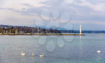 View of the Lighthouse in Geneva - Switzerland