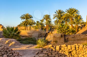 Vegetation in the Karnak Temple Complex - Luxor, Egypt