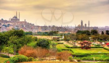 View of the Citadel with Muhammad Ali Mosque from Al-Azhar Park - Cairo, Egypt