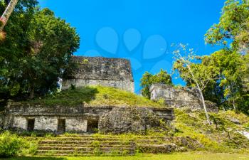 Ancient Mayan ruins at Tikal. UNESCO world heritage in Guatemala