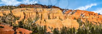 Panorama of Red Canyon within Dixie National Forest in Utah, the United States