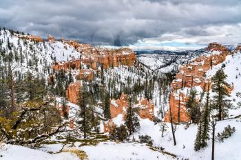 Bryce Canyon in winter - Utah, the United States