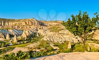 View of Rose Valley at Goreme National Park. UNESCO world heritage in Cappadocia, Turkey
