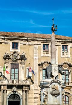 Elephant Fountain and the City Hall of Catania - Sicily, Italy