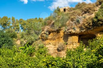 The Kolymbetra Garden at the Valle dei Templi - Agrigento, Sicily, Southern Italy