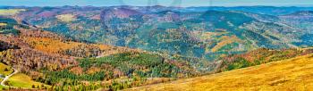 Colorful autumn landscape of the Vosges Mountains in Haut-Rhin, France
