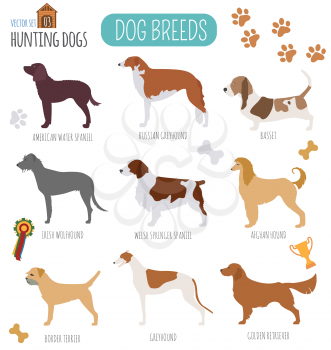 Dog breeds. Hunting dog set icon. Flat style. Vector illustration