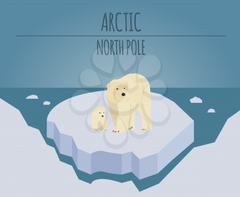 Arctic (North Pole) graphic template. Vector illustration