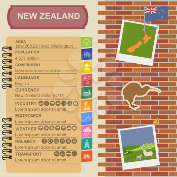 New Zealand  infographics, statistical data, sights. Vector illustration