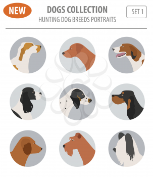 Hunting dog breeds set icon isolated on white . Flat style. Vector illustration