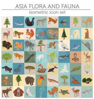 Isometric 3d Asian flora and fauna map constructor elements. Animals, birds and sea life isolated on white big set. Build your own geography infographics collection. Vector illustration