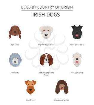 Dogs by country of origin. Irish dog breeds. Infographic template. Vector illustration