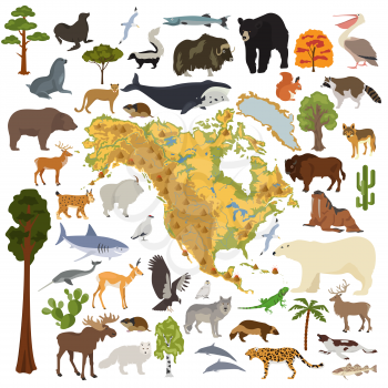 North America flora and fauna map, flat elements. Animals, birds and sea life big set. Build your geography infographics collection. Vector illustration