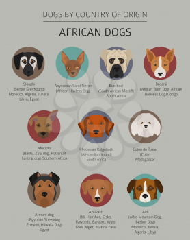 Dogs by country of origin. African dog breeds. Infographic template. Vector illustration