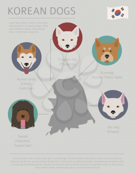 Dogs by country of origin. Korean dog breeds. Infographic template. Vector illustration