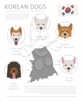 Dogs by country of origin. Korean dog breeds. Infographic template. Vector illustration