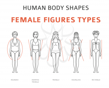 Human body shapes. Female figures types set. Simple line design. Vector illustration