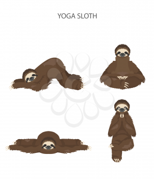 Sloth yoga collection. Funny cartoon animals in different postures set. Vector illustration