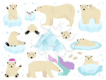 Polar bears set, teddy bear in Arctic. Vector illustration