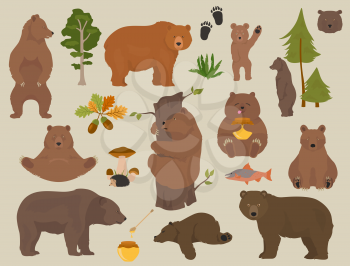 All bear species in one set. Bears in forest collection. Vector illustration