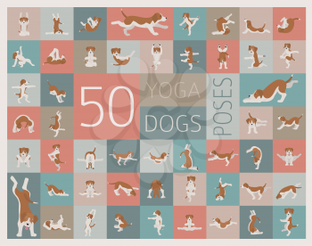 Yoga dogs poses and exercises doing clipart. Funny cartoon poster design. Vector illustration