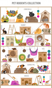 Pet rodents home accessories icon set flat style isolated on white. Care collection. Create own infographic about guinea pig, rat, hamster, chinchilla, mouse, rabbit. Vector illustration